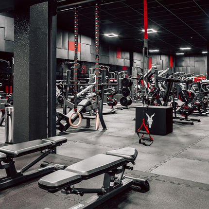 Collection image for: Gym Equipment