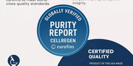  StemXR Stem Cell Circulation Activator & Enhancer