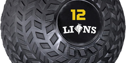  Lions Slam Ball