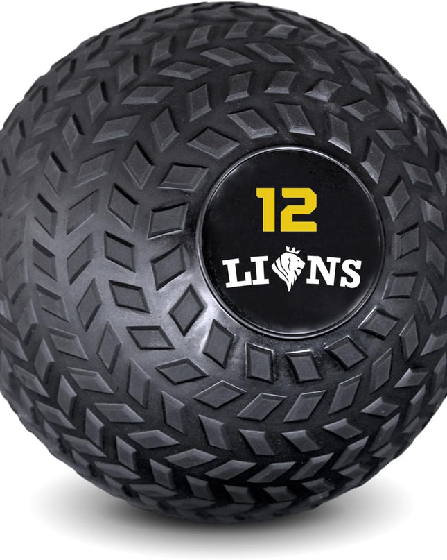  Lions Slam Ball