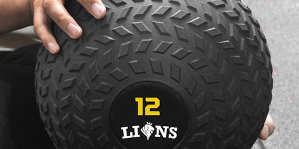  Lions Slam Ball