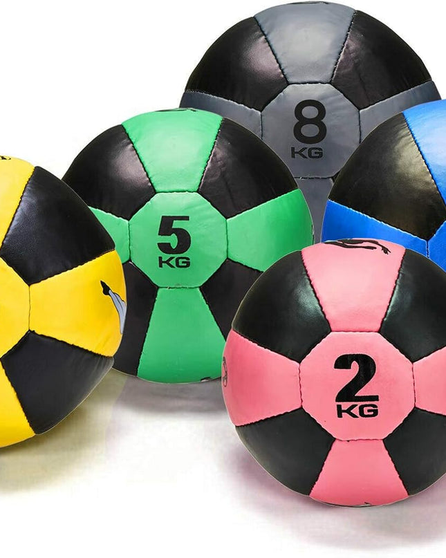  Sparta Heavy Weighted Medicine Ball