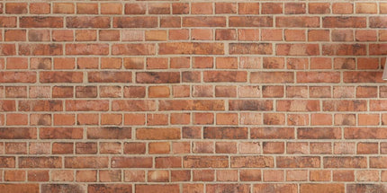 PROTONE Suspension Strap Trainer Wall/Ceiling Mount