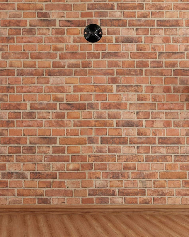 PROTONE Suspension Strap Trainer Wall/Ceiling Mount