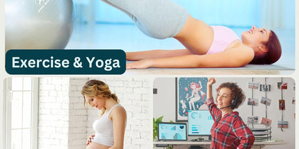 ProBody Pilates Exercise Ball