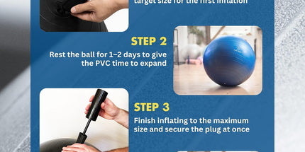 ProBody Pilates Exercise Ball