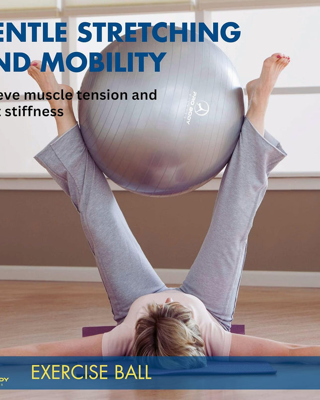 ProBody Pilates Exercise Ball