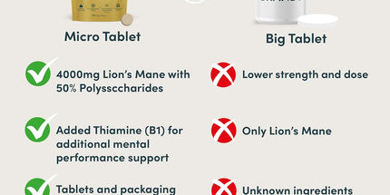  Lion’s Mane 4000mg Supplement